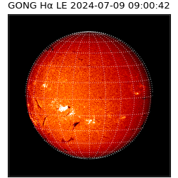 gong - 2024-07-09T09:00:42