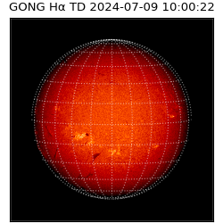 gong - 2024-07-09T10:00:22