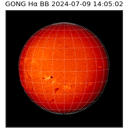 gong - 2024-07-09T14:05:02