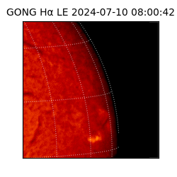 gong - 2024-07-10T08:00:42