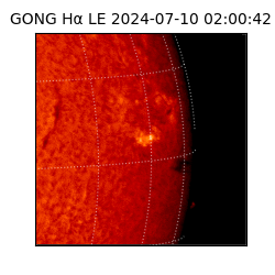 gong - 2024-07-10T02:00:42