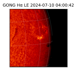 gong - 2024-07-10T04:00:42