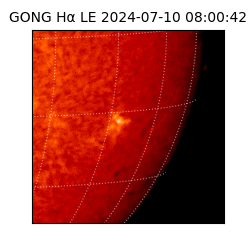 gong - 2024-07-10T08:00:42