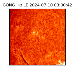 gong - 2024-07-10T03:00:42