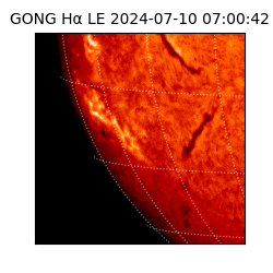 gong - 2024-07-10T07:00:42