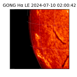 gong - 2024-07-10T02:00:42
