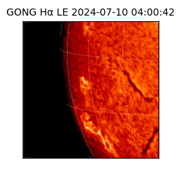 gong - 2024-07-10T04:00:42