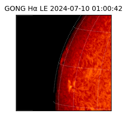 gong - 2024-07-10T01:00:42