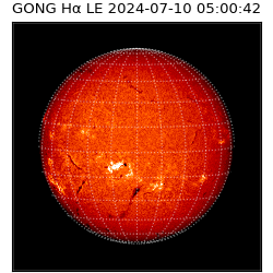 gong - 2024-07-10T05:00:42