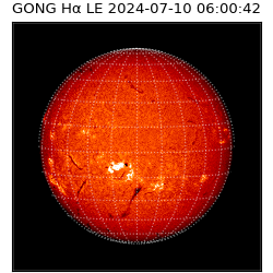 gong - 2024-07-10T06:00:42