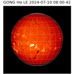 gong - 2024-07-10T08:00:42
