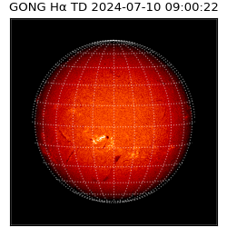 gong - 2024-07-10T09:00:22
