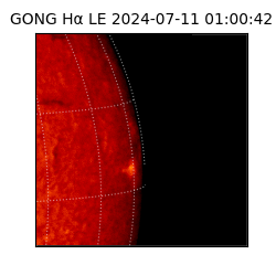 gong - 2024-07-11T01:00:42