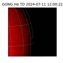 gong - 2024-07-11T12:00:22