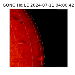 gong - 2024-07-11T04:00:42
