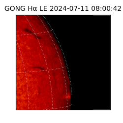 gong - 2024-07-11T08:00:42