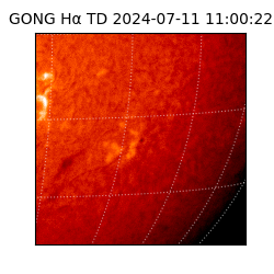 gong - 2024-07-11T11:00:22