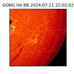 gong - 2024-07-11T22:02:02