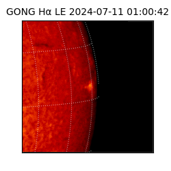 gong - 2024-07-11T01:00:42