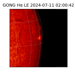 gong - 2024-07-11T02:00:42
