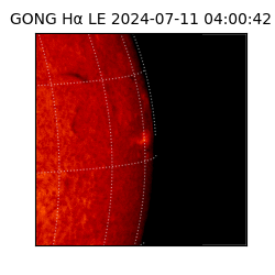 gong - 2024-07-11T04:00:42