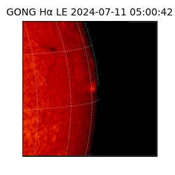 gong - 2024-07-11T05:00:42