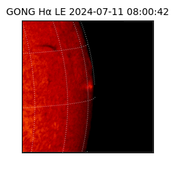 gong - 2024-07-11T08:00:42