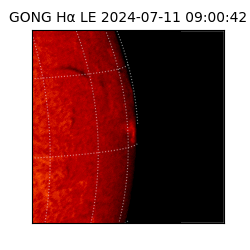 gong - 2024-07-11T09:00:42