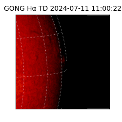 gong - 2024-07-11T11:00:22