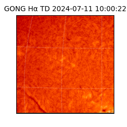 gong - 2024-07-11T10:00:22