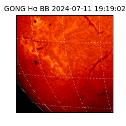 gong - 2024-07-11T19:19:02