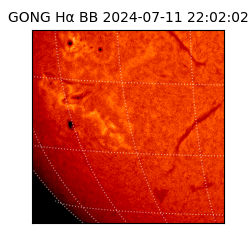 gong - 2024-07-11T22:02:02