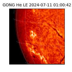 gong - 2024-07-11T01:00:42