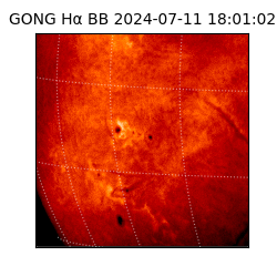 gong - 2024-07-11T18:01:02