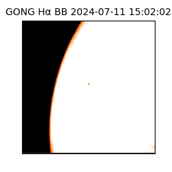 gong - 2024-07-11T15:02:02