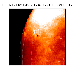 gong - 2024-07-11T18:01:02