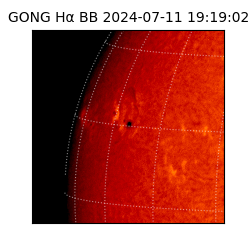 gong - 2024-07-11T19:19:02