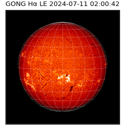 gong - 2024-07-11T02:00:42