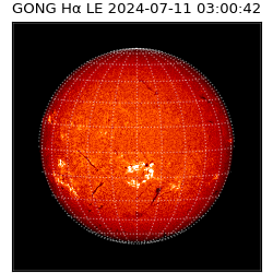 gong - 2024-07-11T03:00:42