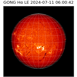 gong - 2024-07-11T06:00:42