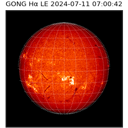 gong - 2024-07-11T07:00:42