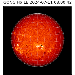 gong - 2024-07-11T08:00:42