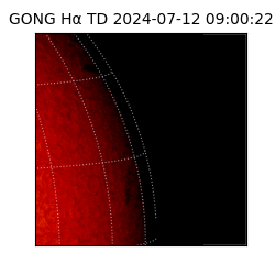 gong - 2024-07-12T09:00:22