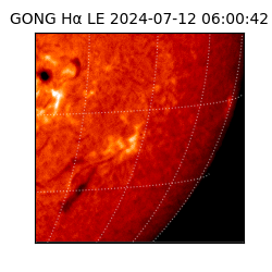 gong - 2024-07-12T06:00:42