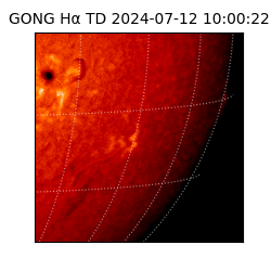 gong - 2024-07-12T10:00:22