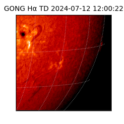gong - 2024-07-12T12:00:22