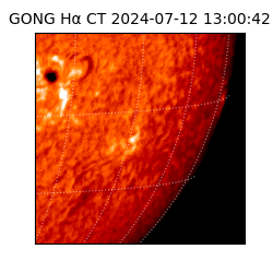 gong - 2024-07-12T13:00:42