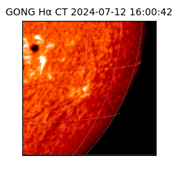 gong - 2024-07-12T16:00:42