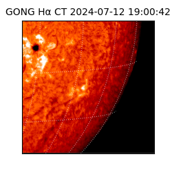 gong - 2024-07-12T19:00:42