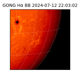 gong - 2024-07-12T22:03:02